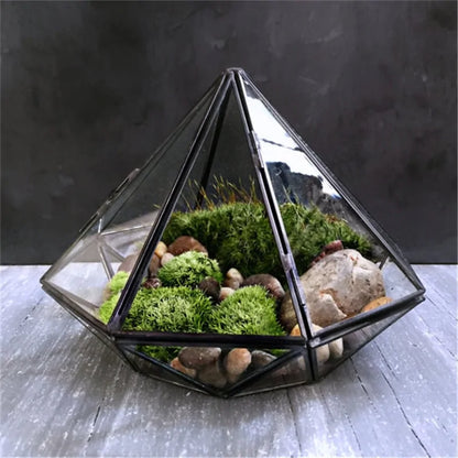 Diamond Shape Hanging Glass Terrarium